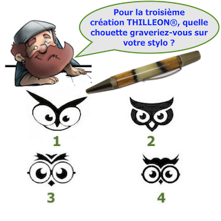 Sondage la chouette by THILLEON fev21 light