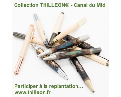 mikado_de_riquet_1932080581