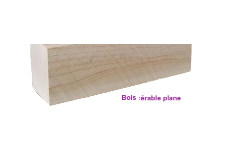 erable_plane_1092120463